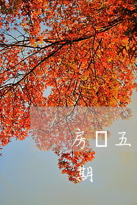 房貸五年內(nèi)16個(gè)月逾期