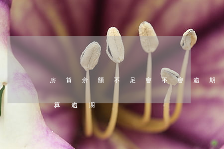 房貸余額不足會不會逾期(房貸超過多久沒還算逾期)