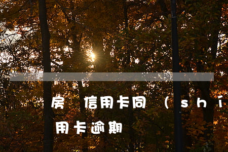 房貸信用卡同時(shí)逾期-房貸和信用卡逾期