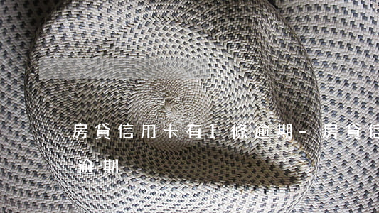 房貸信用卡有1條逾期-房貸信用卡有1條逾期