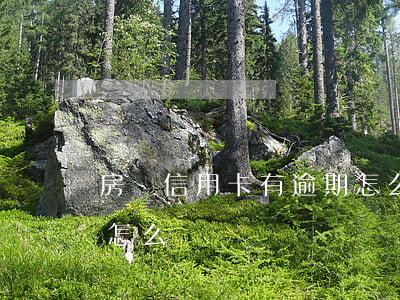 房貸信用卡有逾期怎么辦(房貸信用卡有逾期怎么辦)