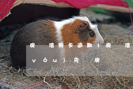 房貸信用卡逾期1(房貸信用卡逾期怎么優(yōu)先還房貸)