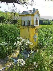 房貸信用卡逾期2年(房貸逾期一個(gè)月,過(guò)了3年才辦了信用卡)