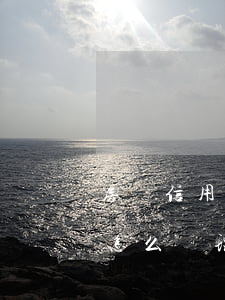房貸信用卡逾期5個月(房貸逾期5個月銀行怎么處理)