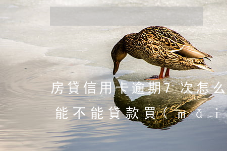 房貸信用卡逾期7次怎么辦(信用卡逾期7次能不能貸款買(mǎi)房)