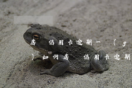 房貸信用卡逾期一個(gè)月會(huì)如何(房貸信用卡逾期一個(gè)月會(huì)如何樣)