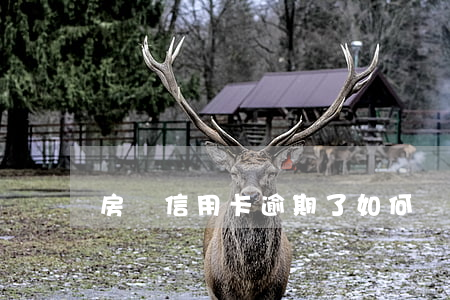 房貸信用卡逾期了如何還房貸