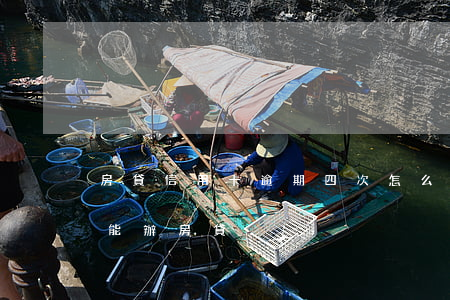 房貸信用卡逾期四次怎么辦(4次信用卡逾期能辦房貸)