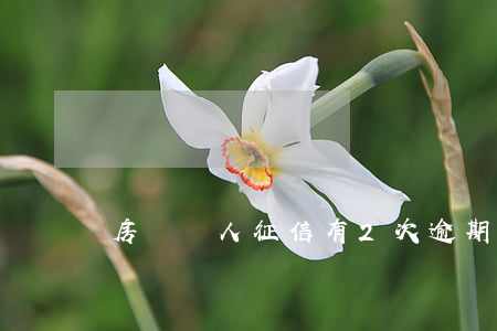 房貸個人征信有2次逾期(征信房貸逾期一次)