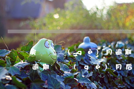 房貸兩個(gè)月逾期還款后果(銀行房貸逾期兩個(gè)月后果是什么)