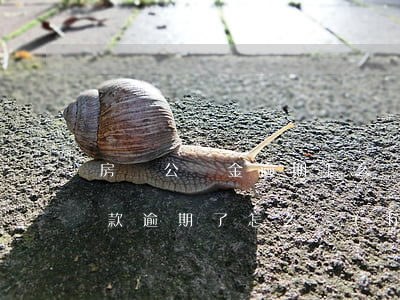 房貸公積金逾期怎么補(bǔ)交(公積金還款逾期了怎么補(bǔ)救)