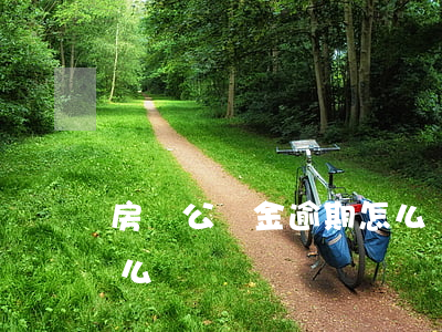 房貸公積金逾期怎么還款(公積金還款逾期怎么辦)