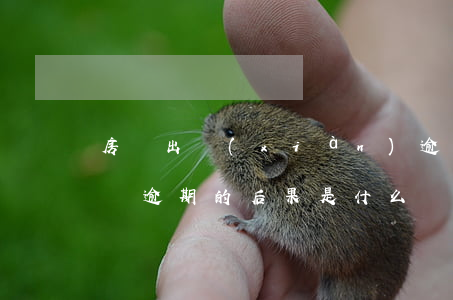 房貸出現(xiàn)逾期會有什么后果(房貸逾期的后果是什么)