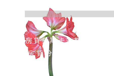 房貸分期卡逾期未來可期(信用卡逾期會終止房貸分期嗎)