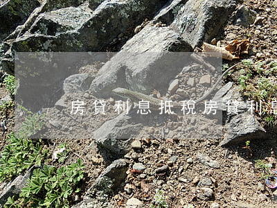 房貸利息抵稅(房貸利息抵稅夫妻都能抵嗎)