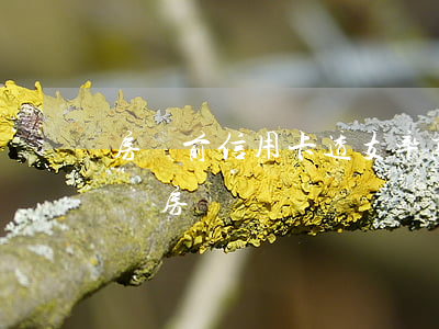 房貸前信用卡透支率高(信用卡透支會不會影響房貸)