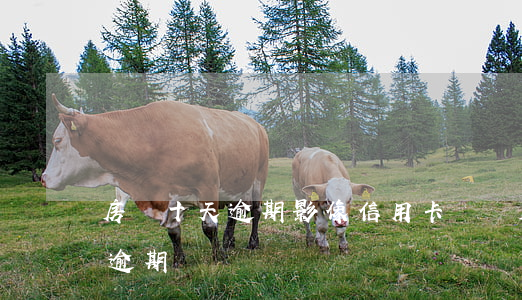 房貸十天逾期影像信用卡嗎(辦房貸信用卡有逾期記錄)