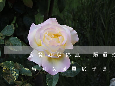 房貸可以停息掛賬還款嗎(停息掛賬后果還款后可以購買房子嗎)