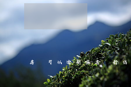 房貸可以逾期嘛（房貸行信用卡逾期可以贖樓嗎）