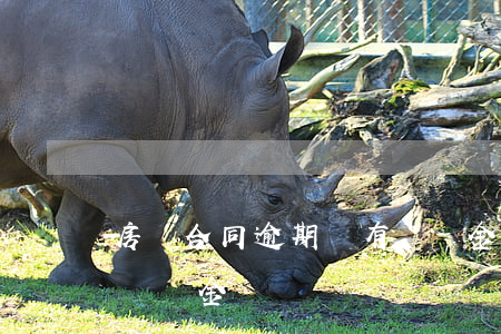 房貸合同逾期沒有違約金(房貸合同逾期沒有違約金)