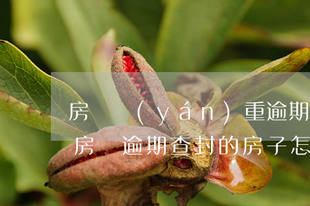 房貸嚴(yán)重逾期法院查封還能住嗎(房貸逾期查封的房子怎么解封)