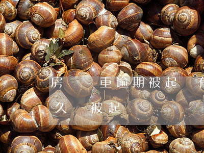 房貸嚴重逾期被起訴有啥后果 房貸款逾期多久會被起訴