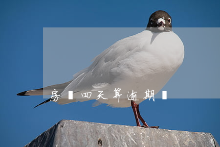 房貸四天算逾期嗎