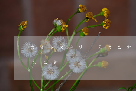 房貸多次逾期一天怎么辦(銀行房貸逾期一天怎么辦)
