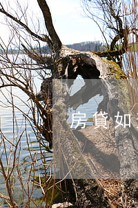 房貸如逾期怎么辦(房貸逾期能不能消除)