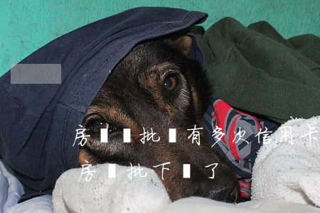 房貸審批時有多次信用卡小額逾期(逾期多次房貸批下來了)
