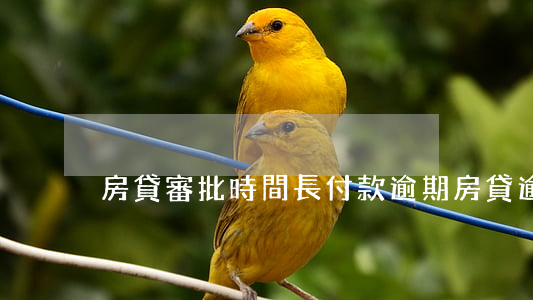 房貸審批時間長付款逾期(房貸逾期寬限期)
