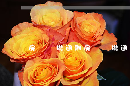 房貸審批逾期(房貸審批逾期 違約)