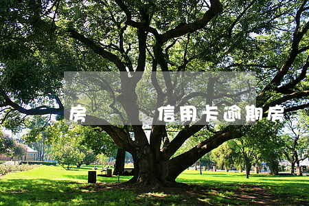 房貸專屬信用卡逾期(房貸專屬信用卡逾期了)