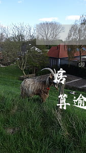 房貸幾個月還完算逾期嗎(房貸多長時間不還算逾期)