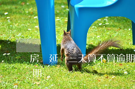 房貸延誤三天算不算逾期(房貸拖延多久算逾期)