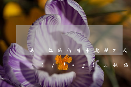 房貸征信信用卡逾期7天(信用卡逾期七天已經(jīng)上征信了怎么辦)