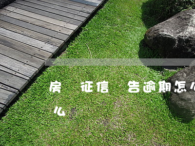 房貸征信報告逾期怎么辦(房貸征信有逾期怎么辦)