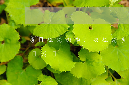房貸征信逾期1次(征信有1次逾期可以貸款買房嗎)