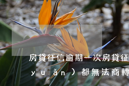 房貸征信逾期一次 房貸征信逾期一次,永遠(yuǎn)都無法商轉(zhuǎn)公