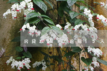 房貸忘記換了逾期15天(房貸逾期七天)