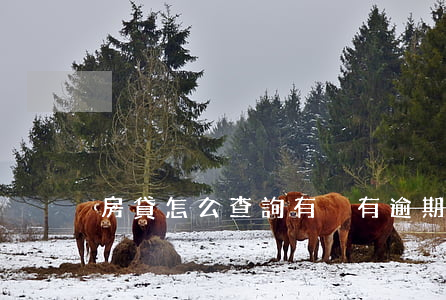 房貸怎么查詢有沒有逾期(房貸到期怎么查詢)