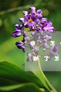 房貸怎么申請(qǐng)逾期(貸款買房逾期了怎么辦)