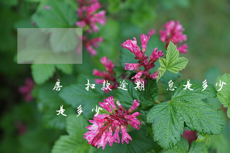 房貸扣款逾期罰息是多少(房貸扣款逾期罰息是多少)