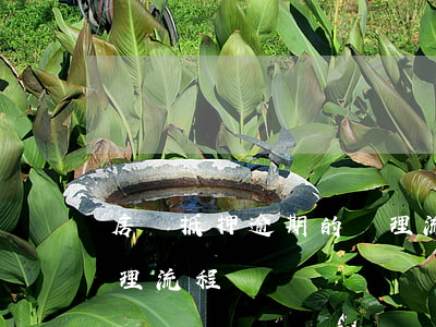 房貸抵押逾期的處理流程(房貸抵押逾期的處理流程)
