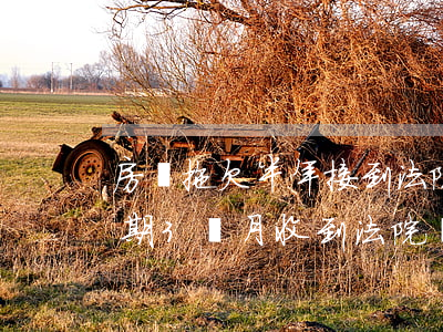 房貸拖欠半年接到法院傳票怎么處理（房貸逾期3個月收到法院傳票）