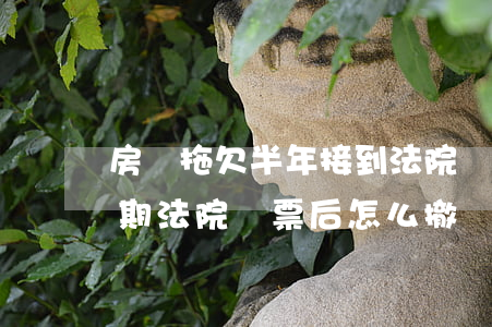 房貸拖欠半年接到法院傳票怎么處理（房貸逾期法院傳票后怎么撤銷）