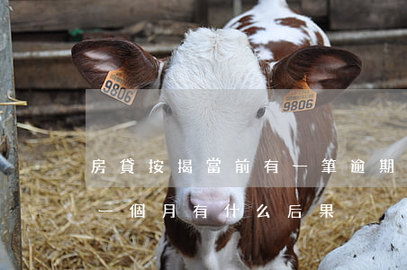 房貸按揭當前有一筆逾期(銀行房屋貸款逾期一個月有什么后果)