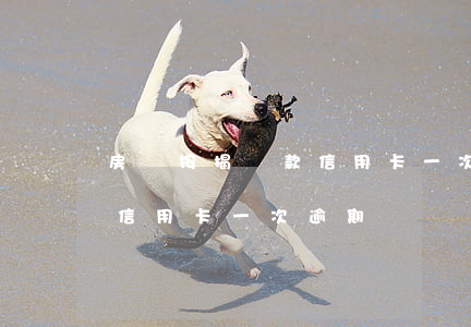 房貸按揭貸款信用卡一次逾期 房貸按揭貸款信用卡一次逾期