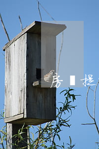 房貸提前還款計算器