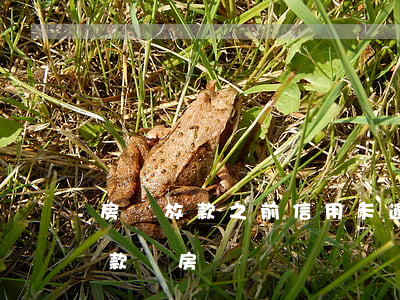 房貸放款之前信用卡逾期(信用卡逾期可以貸款買房嗎)